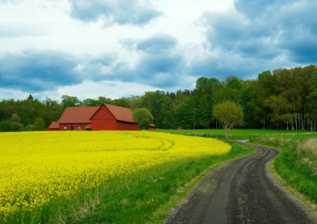 Rural credit flow boosts in 2026 as Government, RBI ease liquidity support