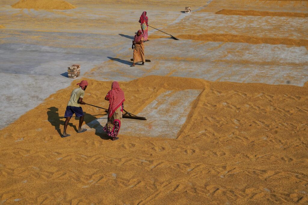 Aquapulse funding 2026 boosts Rs 45 crore to connect shrimp farmers globally
